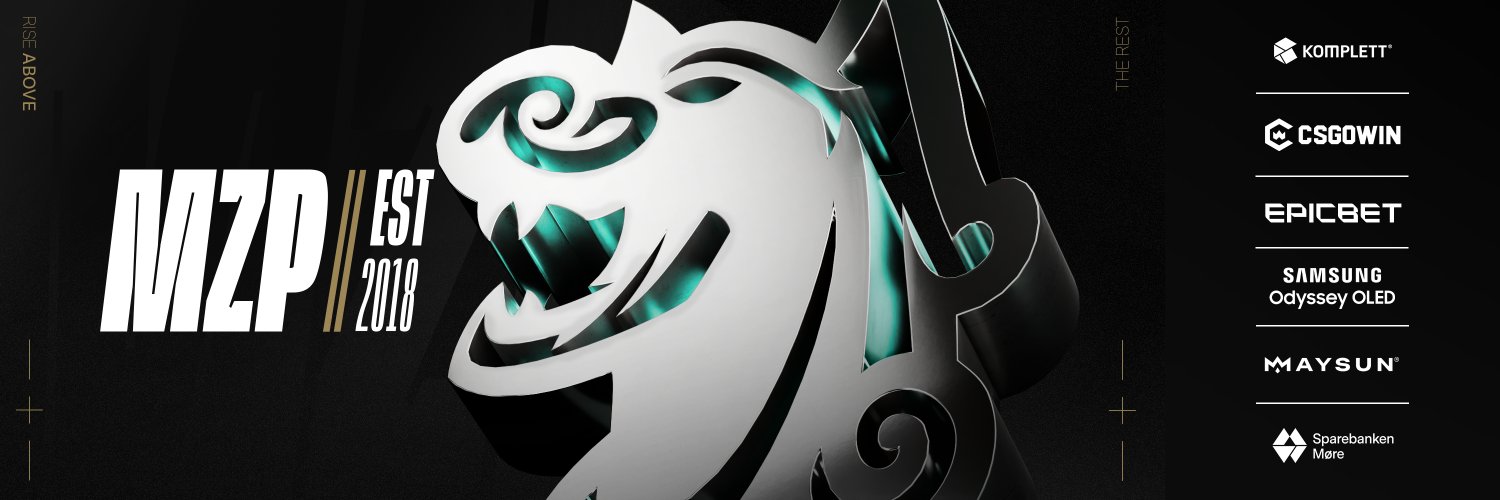 Metizport's banner