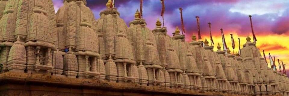 Tanvi Jain 🇮🇳's banner