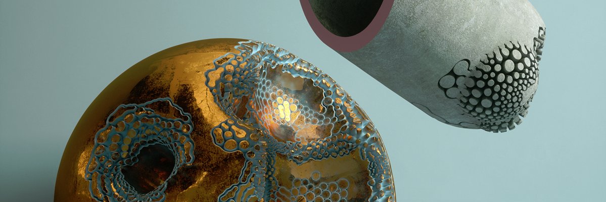 entagma's banner