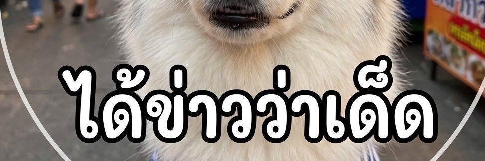 ได้ข่าว ว่า เด็ด🔥's banner
