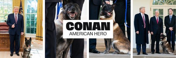 Conan - American Hero's banner