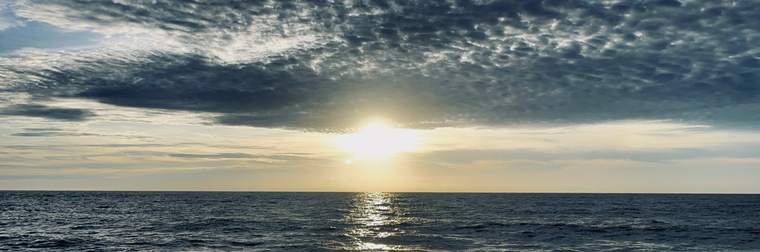 Sleepyneak's banner
