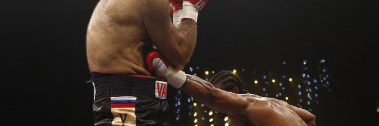 David Haye's banner