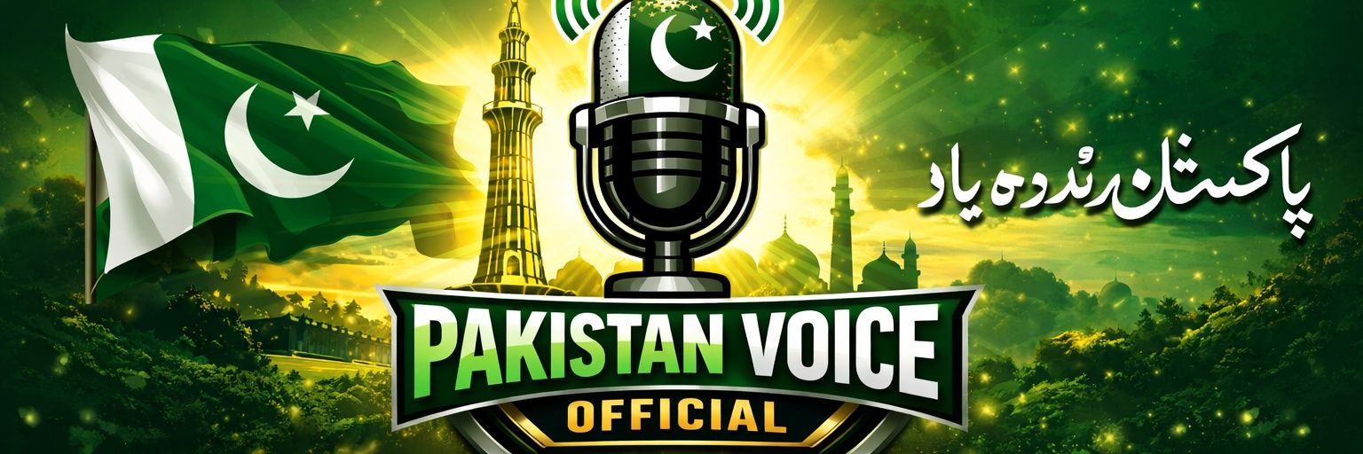 PakistanVoice's banner
