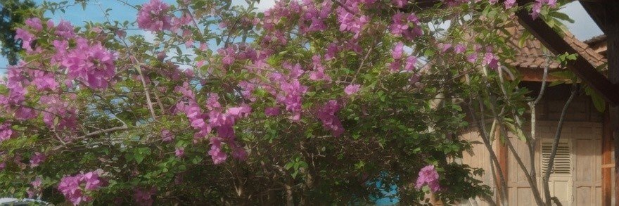 Yur's banner