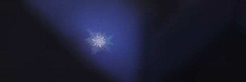 ❄️ irene winter heptagon era's banner