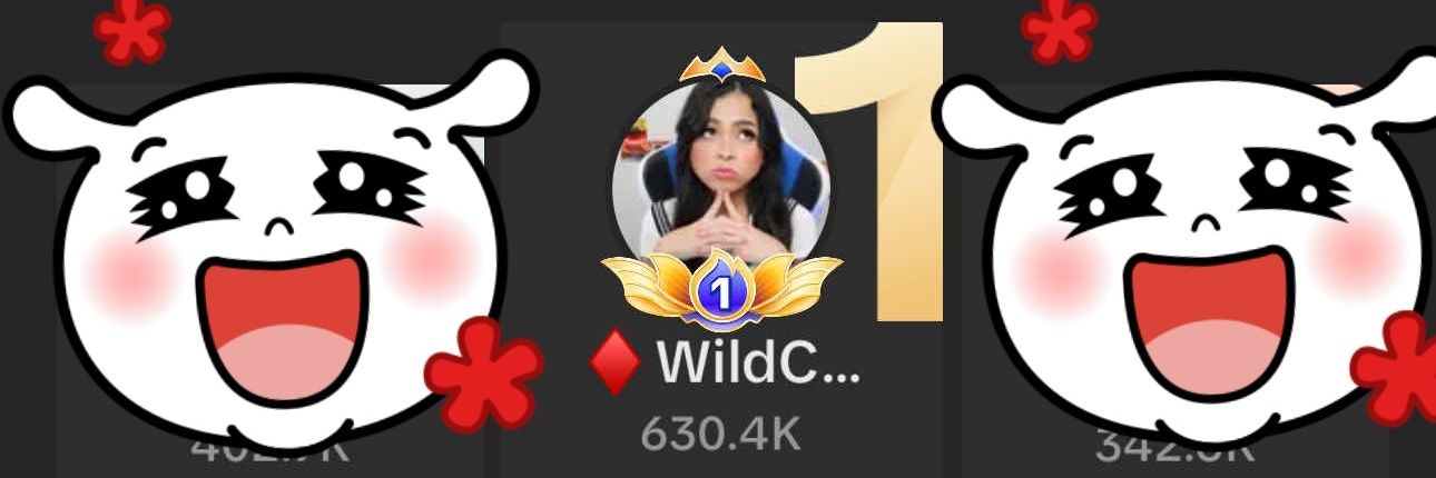 tiktokwildcard's banner