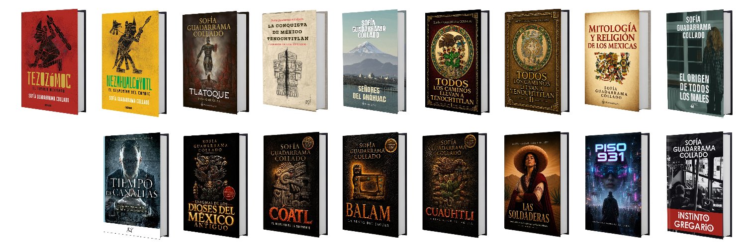 Sofía Guadarrama Collado's banner