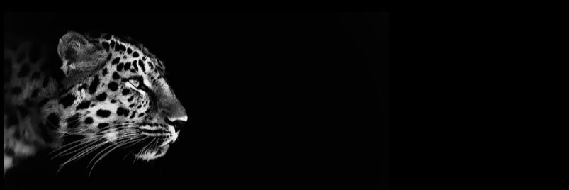 مُستهدف's banner