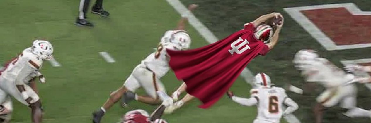 Hoosier Soldier's banner