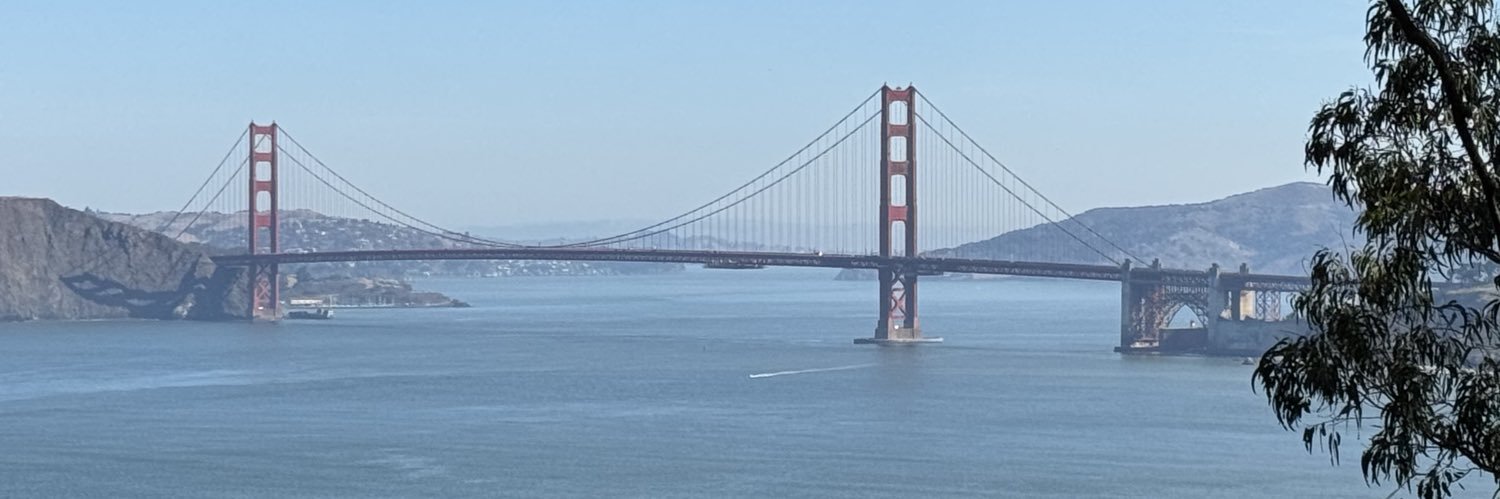 Grain of Salt's banner