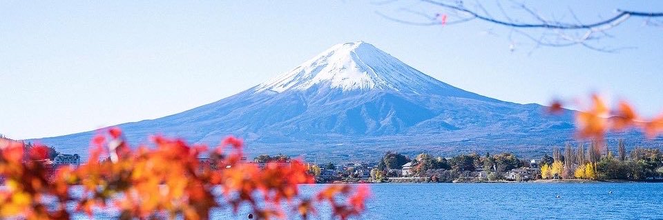 ウルトラランナーみゃこ's banner