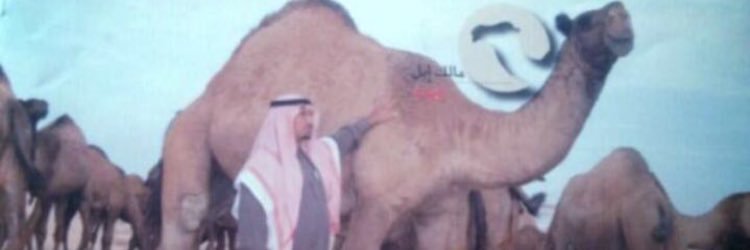سلطان بن فراج العماني's banner