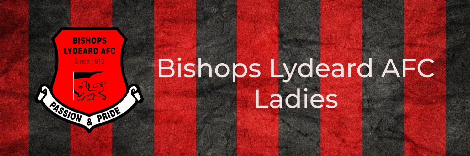 BishopsLydeardLadies's banner