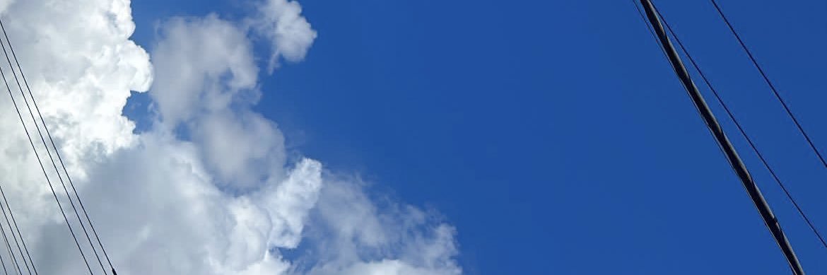 野村麻衣子's banner