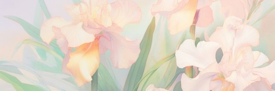 ☾⋆ eybi ✿'s banner