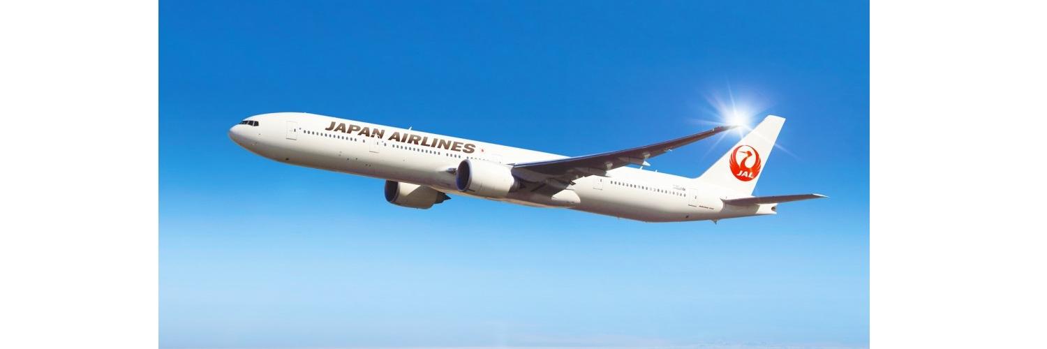 777しろたん✈︎'s banner