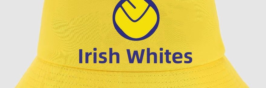 Gerry Mc Dermott's banner