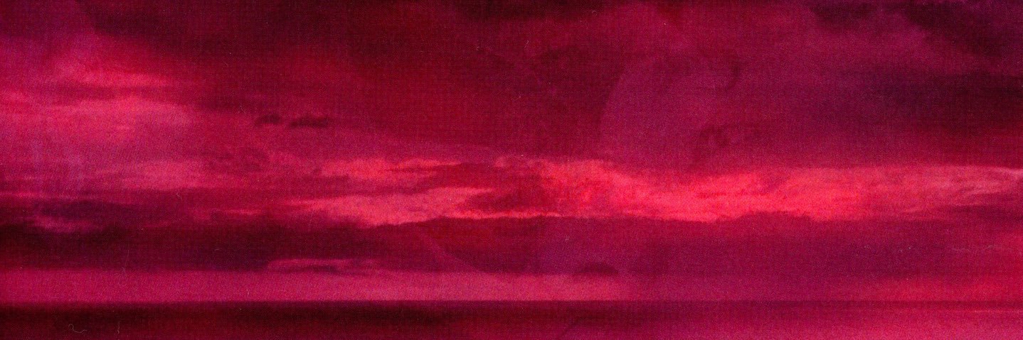 SONNY RAVE's banner