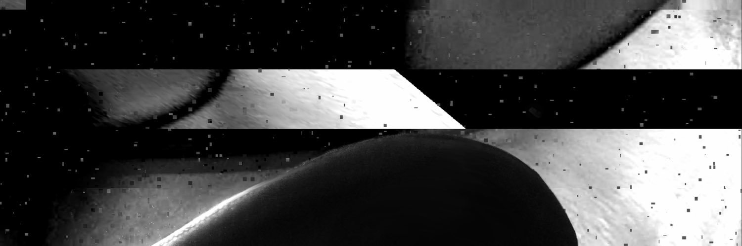 Koropatel's banner