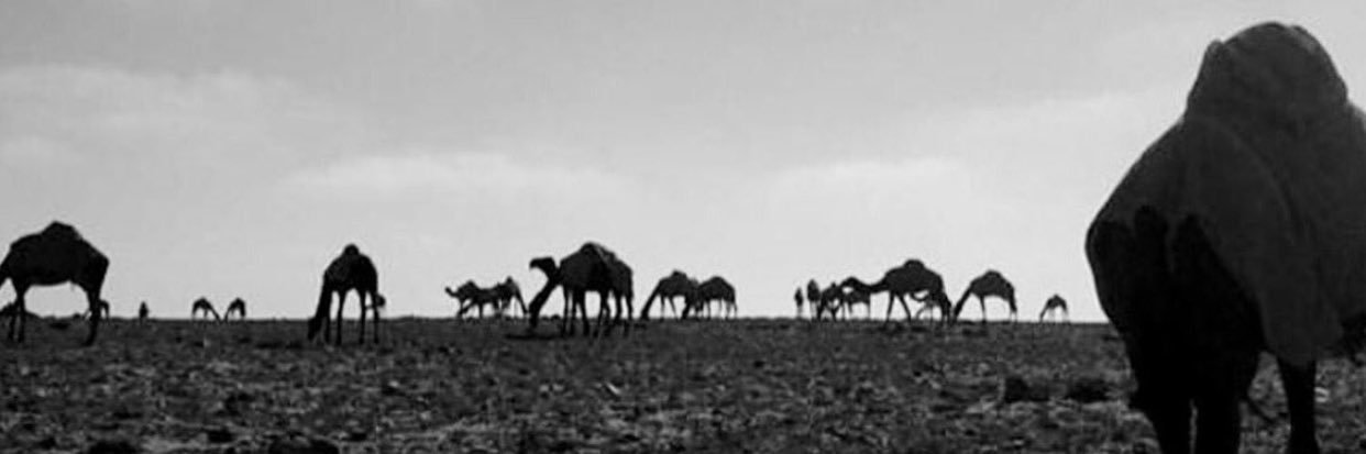 ً#تواق's banner