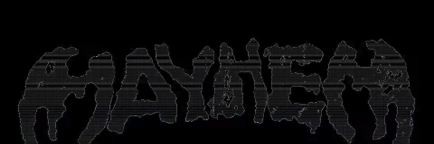 FⱯKE PRESIDENT's banner