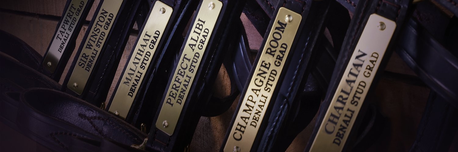 Denali Stud's banner