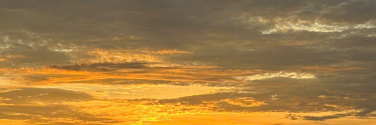Phương Hằng's banner