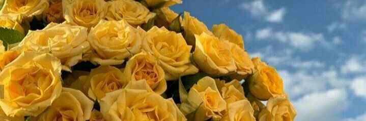 مشاعل's banner