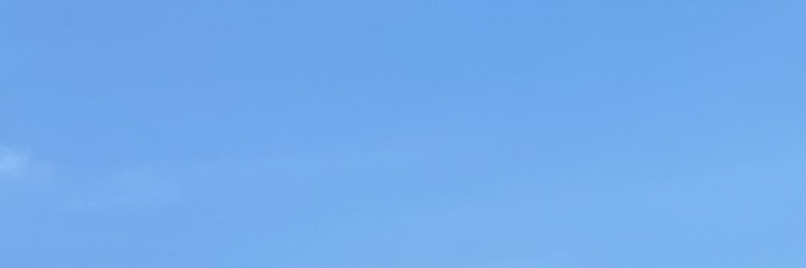 ハル's banner