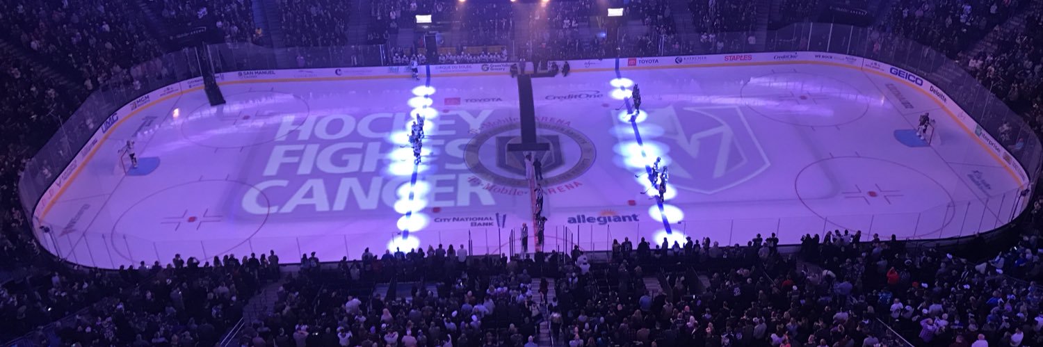 Ryan The Hockey Guy's banner