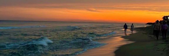 DIANA ANDRADE's banner