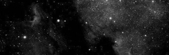 T O P R E X's banner
