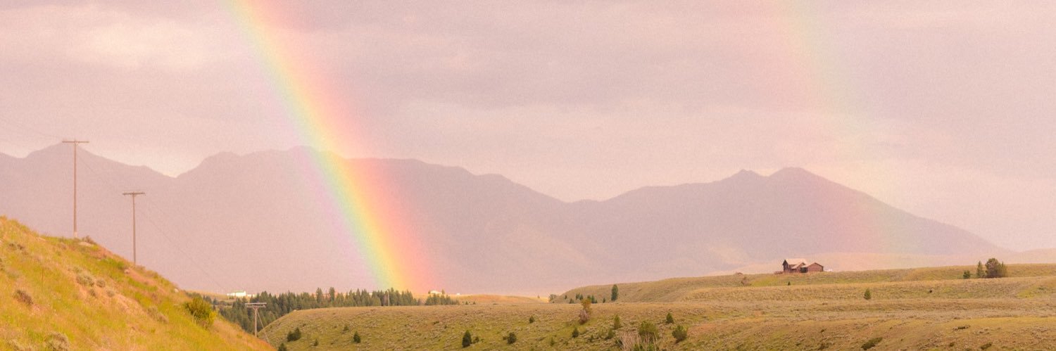 lily ༺☆༻'s banner
