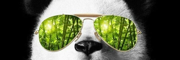 DaddyPanda🐾🐼's banner