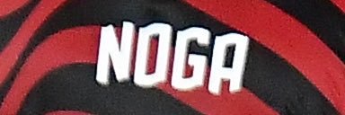 Gabriel Noga's banner