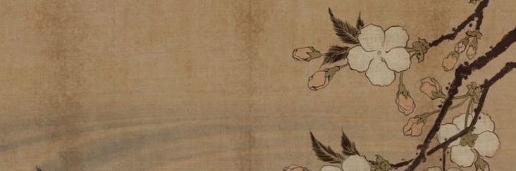 meah 🧸's banner
