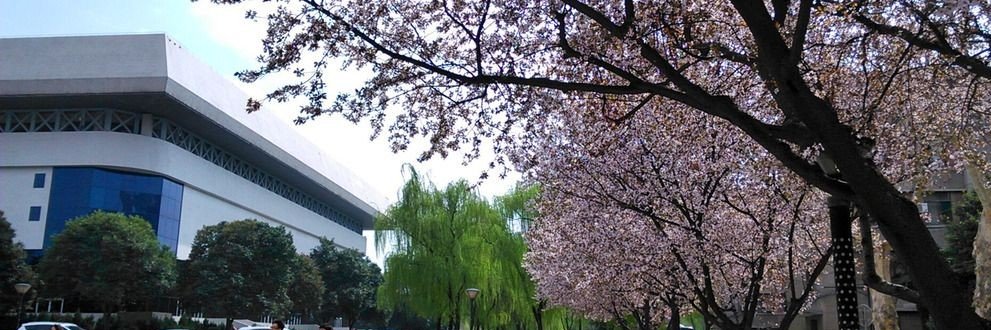 九叭舞's banner