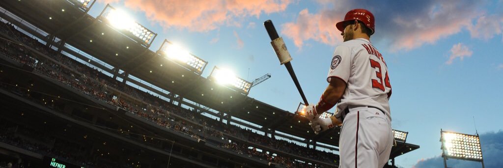 Baseball King's banner