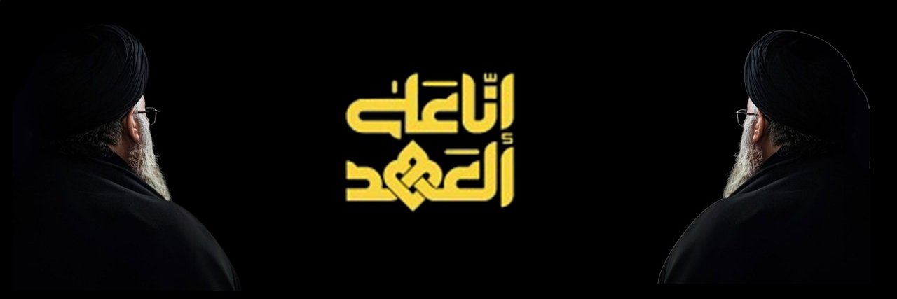 N A S I R's banner