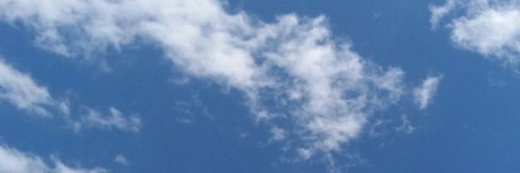 lili🌷's banner