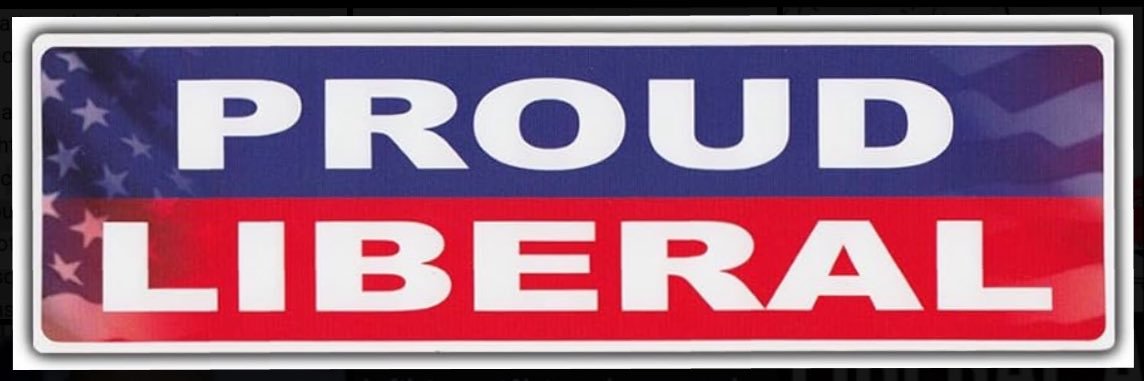 ♛Resista Sista♛ 💙🇺🇸🌊's banner