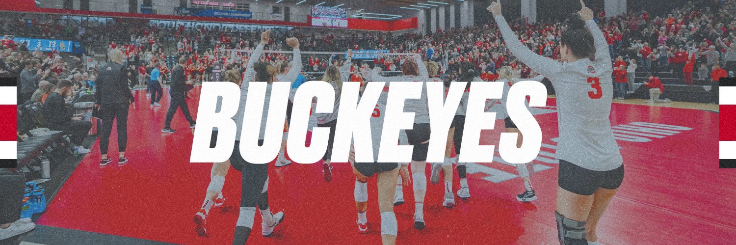 Ohio State Women's Volleyball's banner