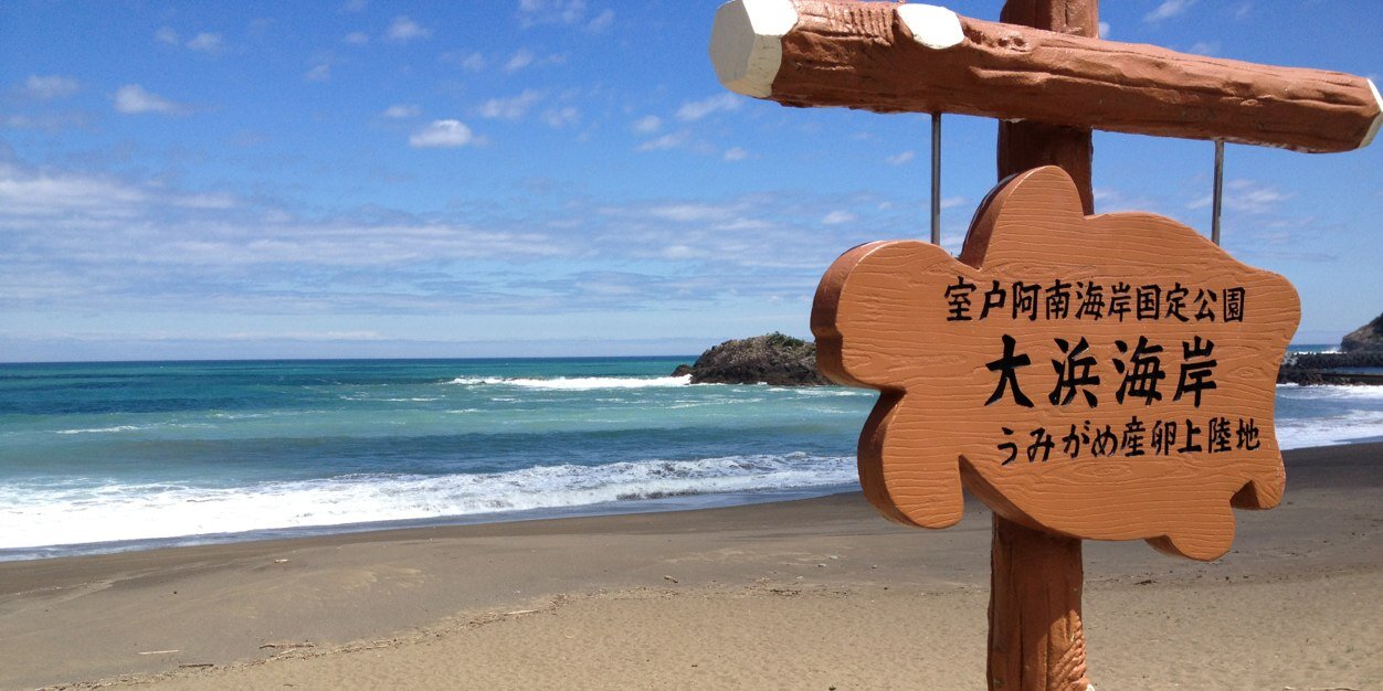 日和佐うみがめ博物館カレッタ's banner