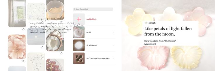 Fiorielle's banner