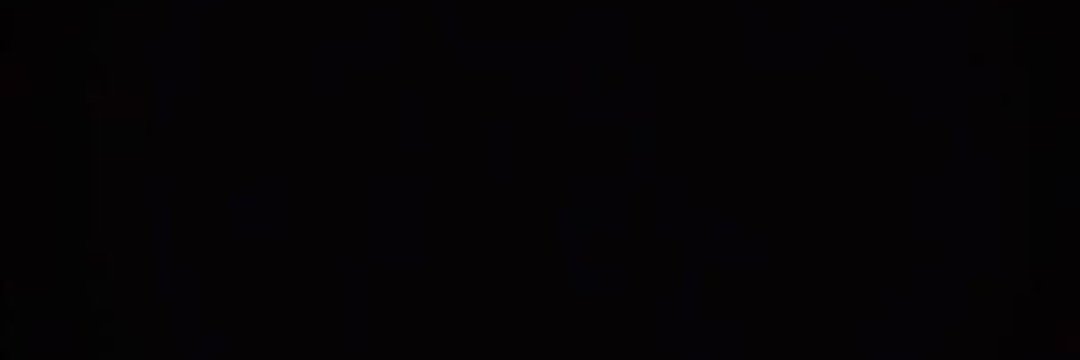 zυzυ's banner