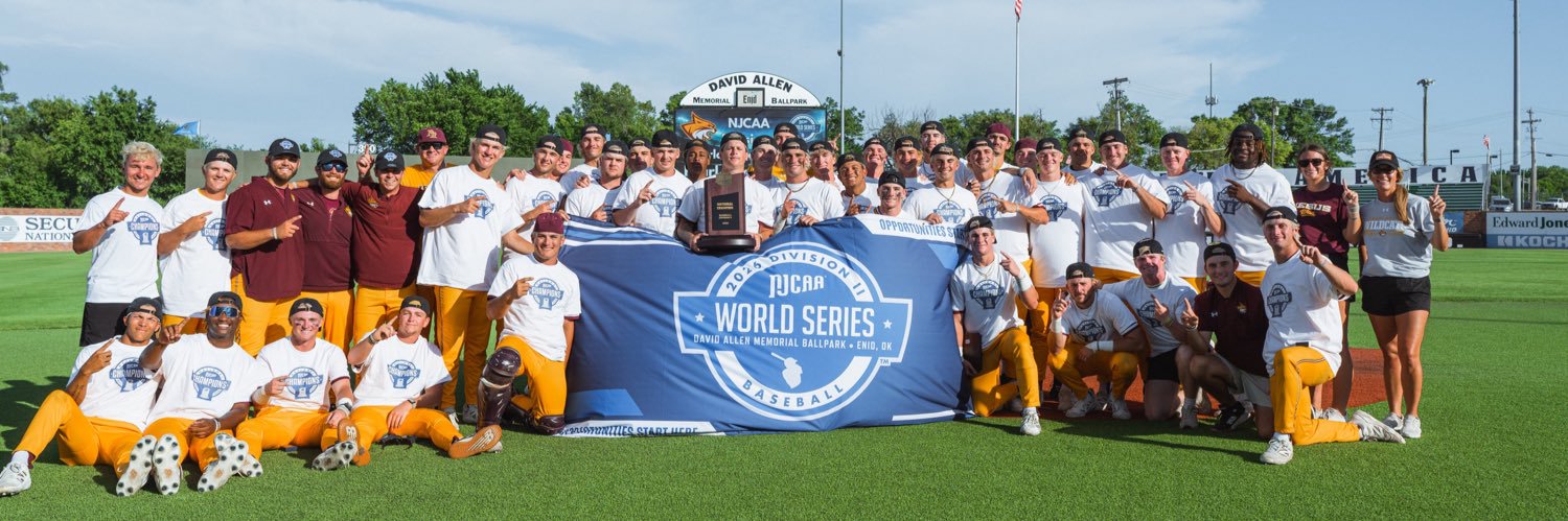 Pearl River Baseball's banner