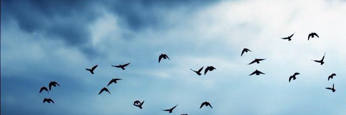 شهد سامي|☁️'s banner