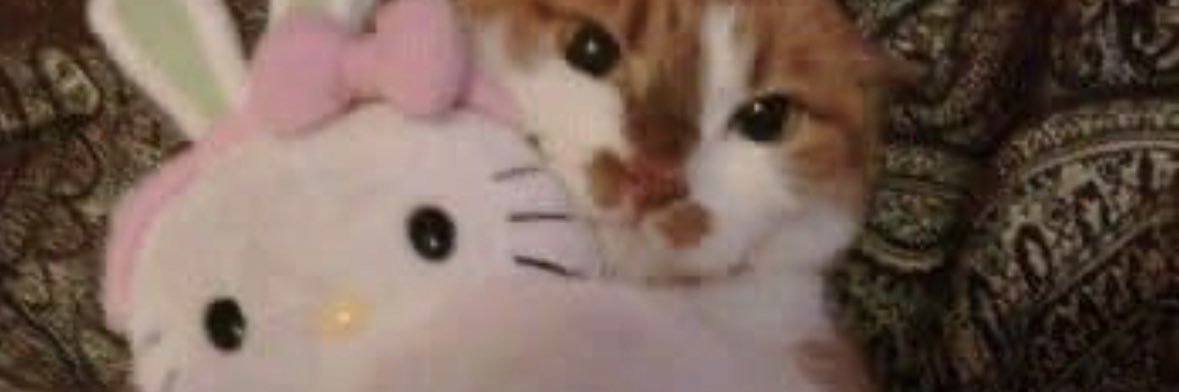 ♡ certified mean girl ♡'s banner