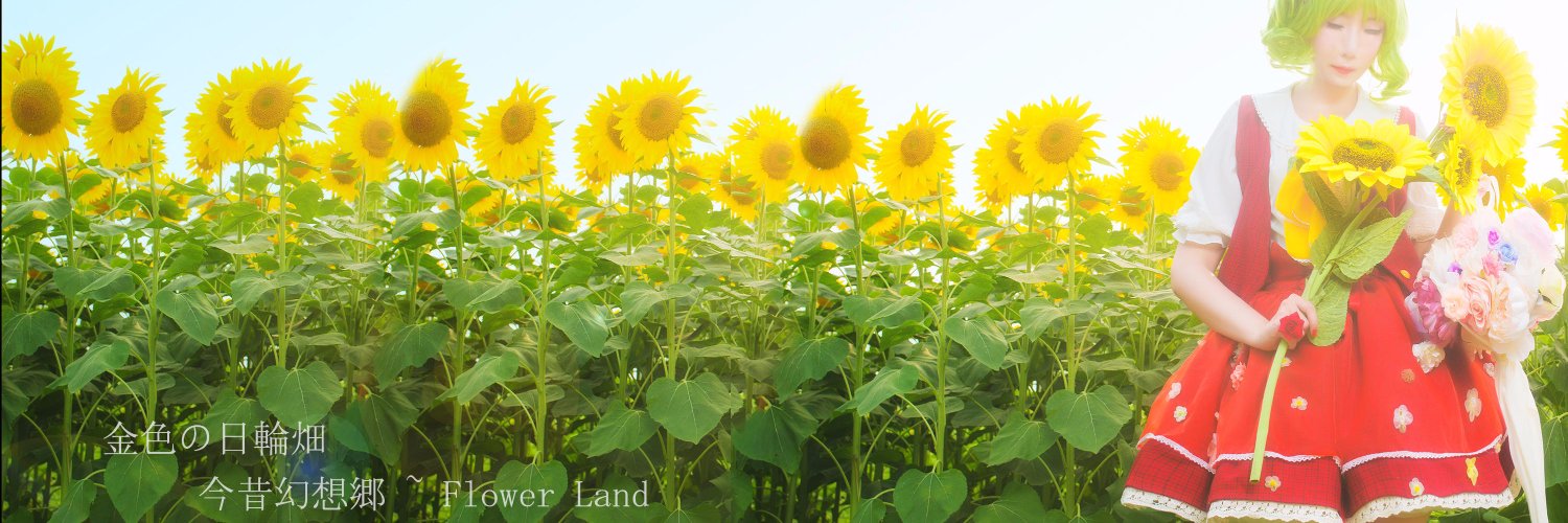 御姐萝莉殿's banner